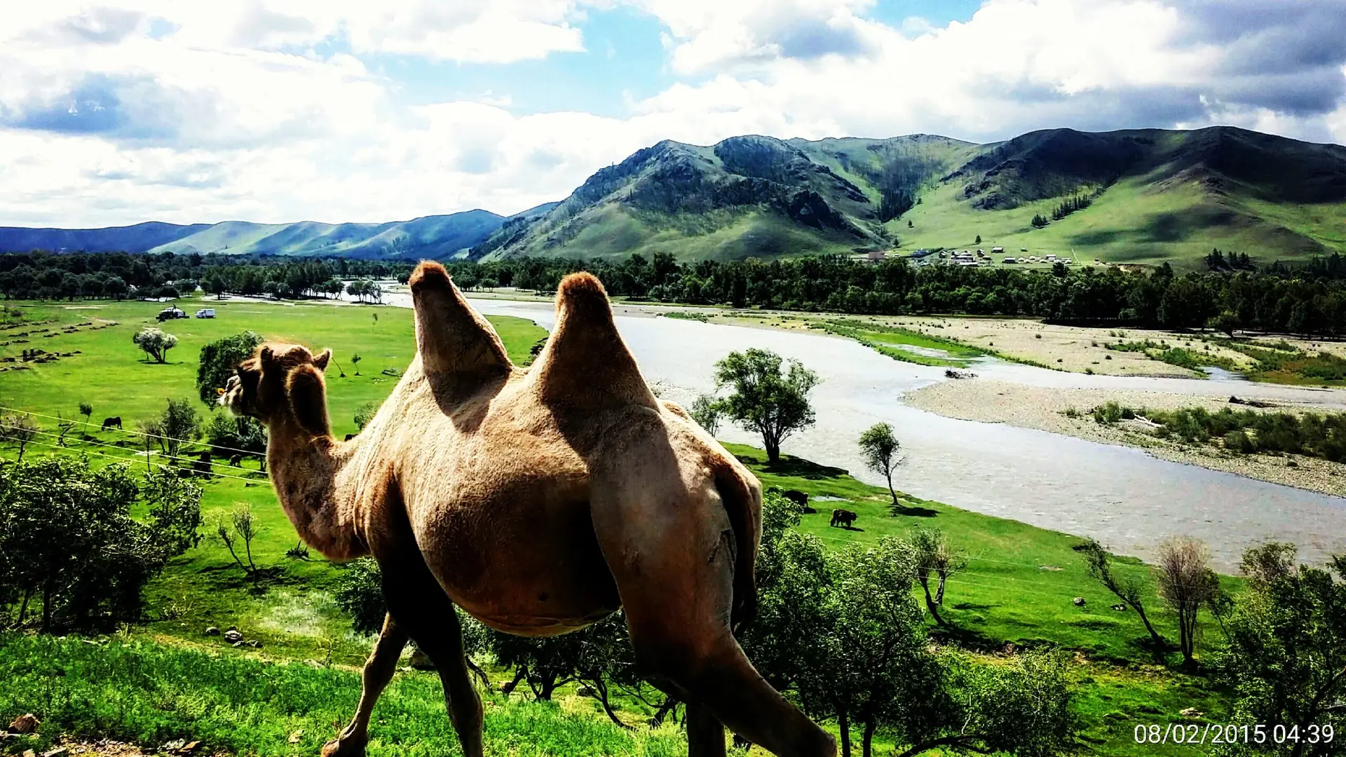 Mongolia