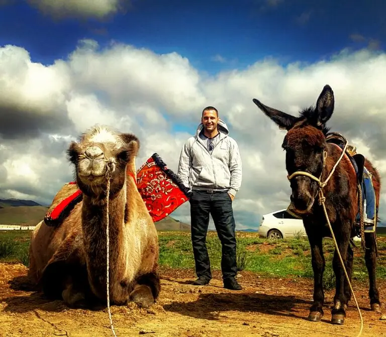 Mongolian desert